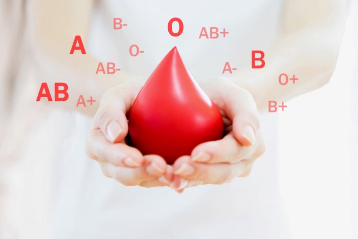 Blood Bank &amp; Blood Donors