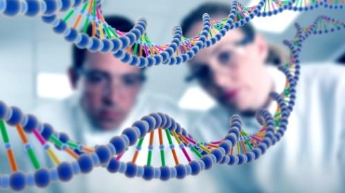 Medical Geneticists
